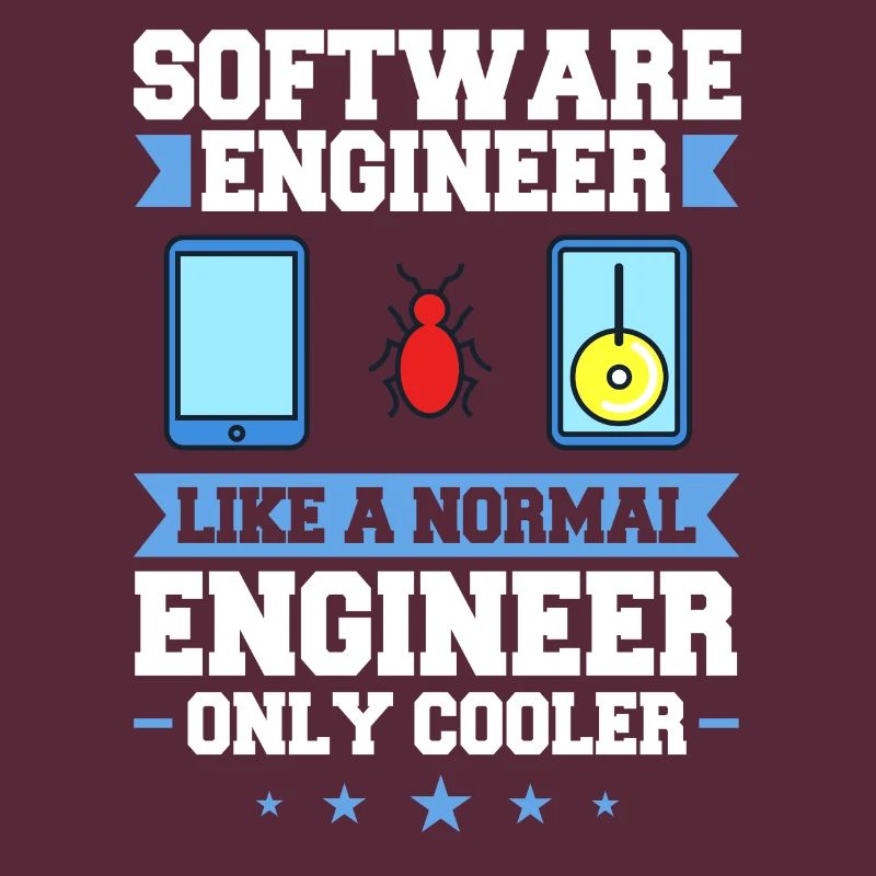 Software Engineering Softwaretechnik Ingenieur