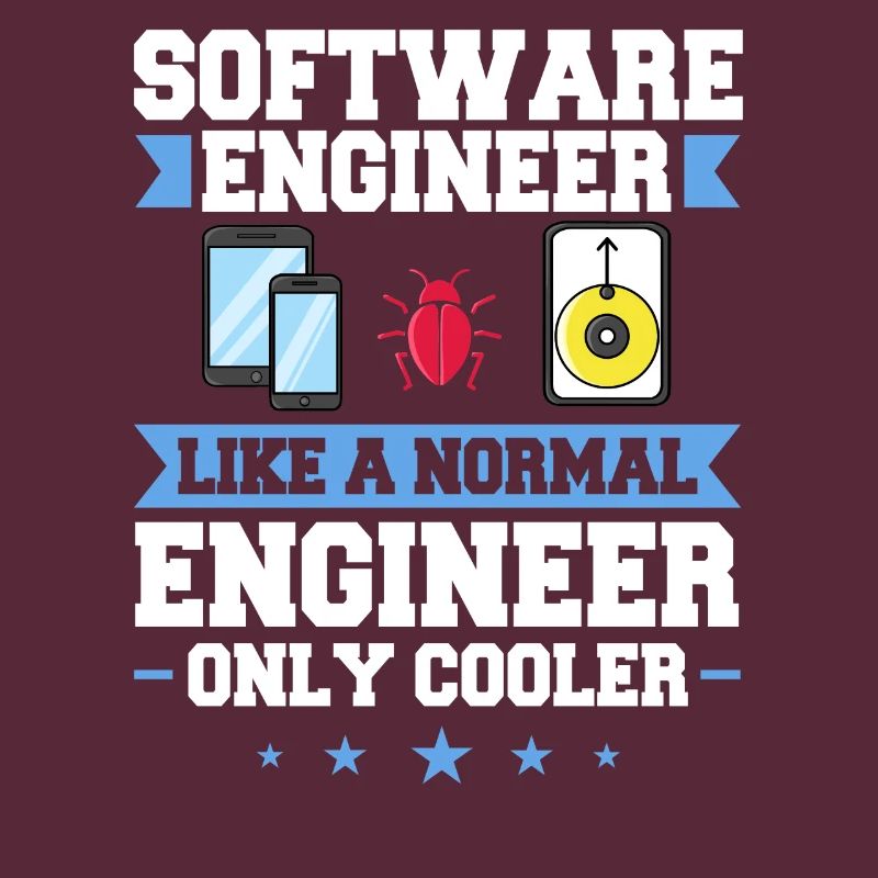 Software Engineering Softwaretechnik Ingenieur