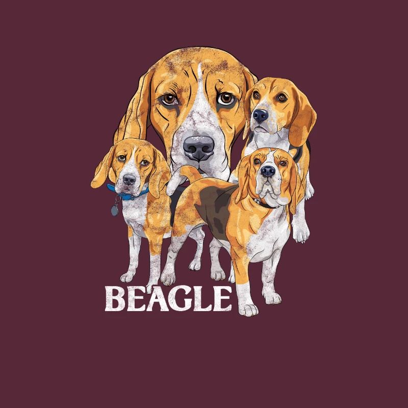 Beagle