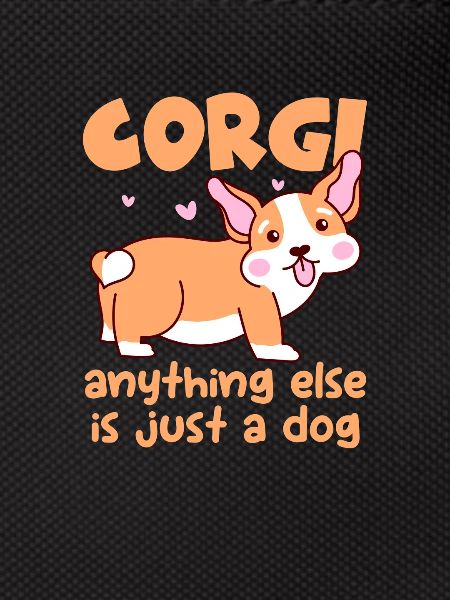 Corgi