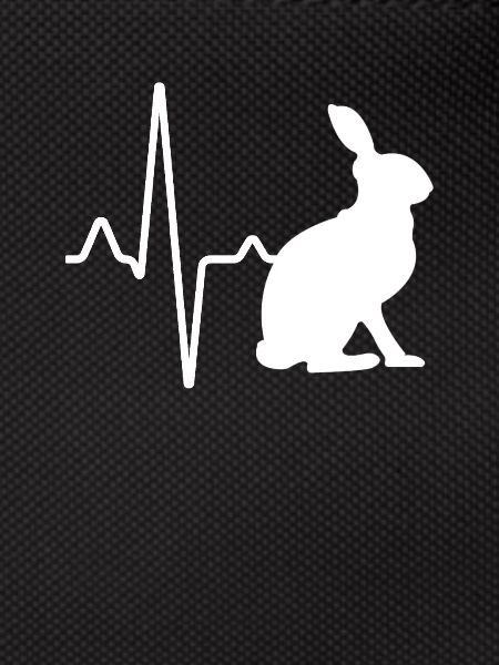 Rabbit Heartbeat