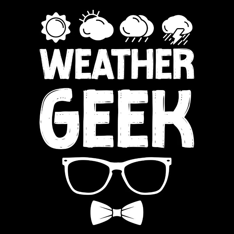 Meteorologist Weather Forecast