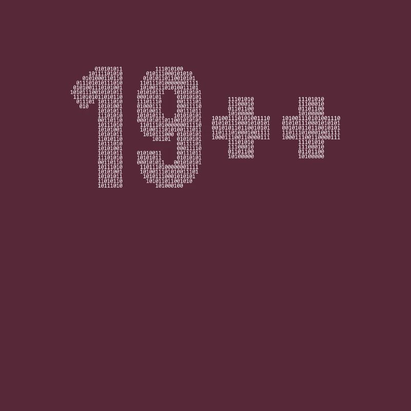 19++ Programmeur Ingénieur logiciel Codeur 20e