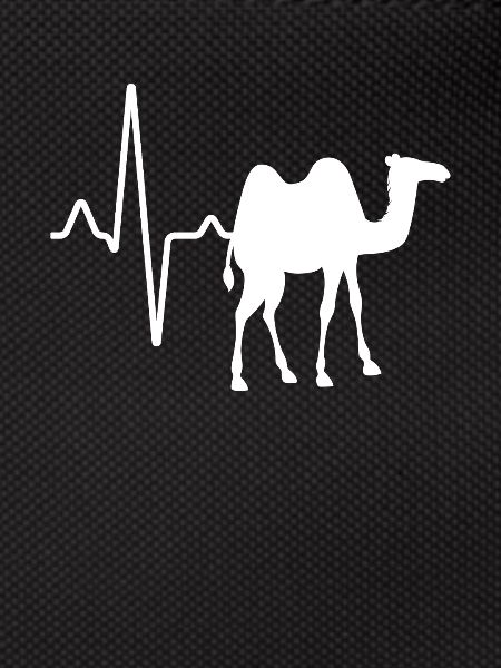 Dromadaire Camel Heartbeat