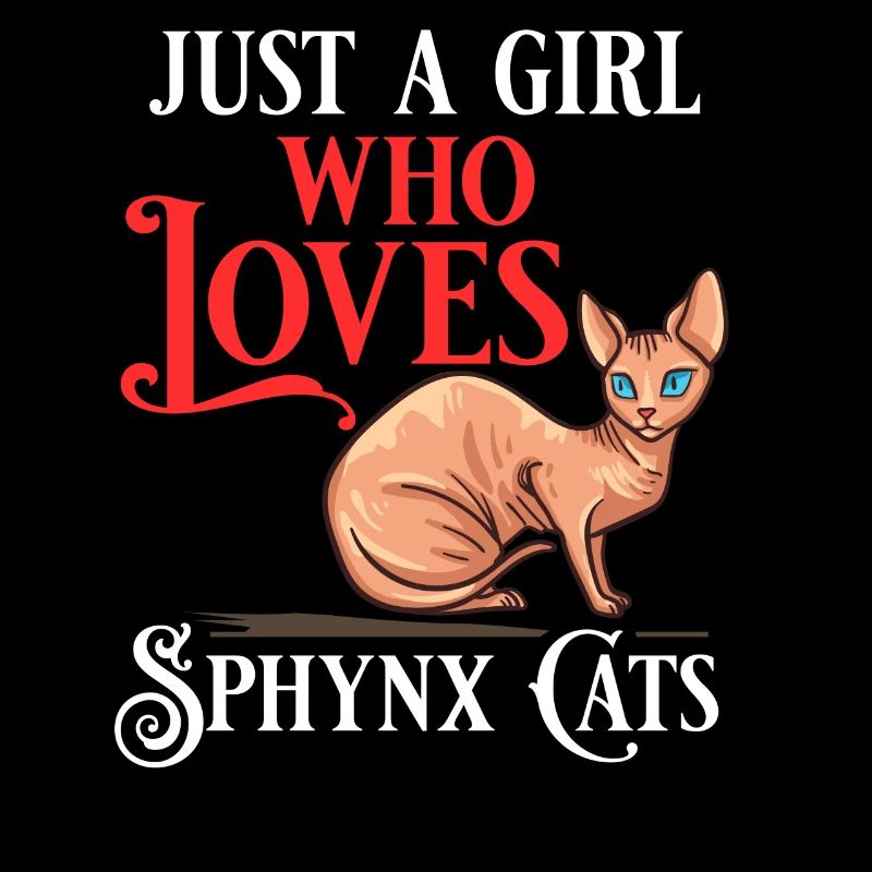 Sphynx Katze Sphinx Haarloses Kätzchen Ägypten