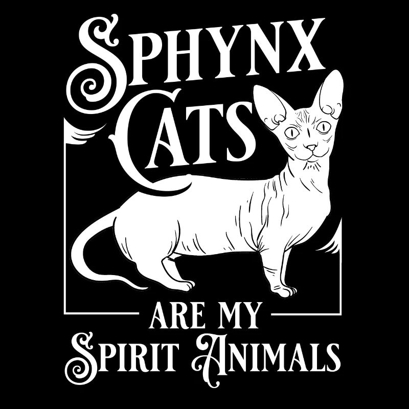 Sphynx Katze Sphinx Haarloses Kätzchen Ägypten