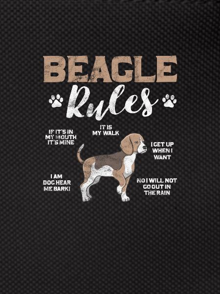 Beagle