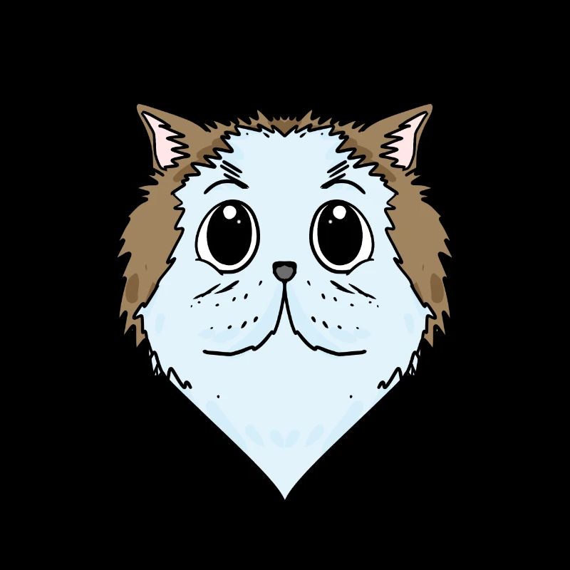 Chat persan Chat Race Chat