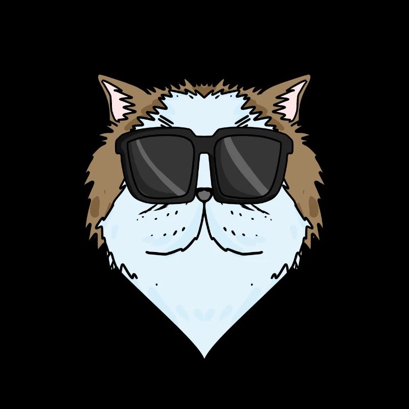 Cool Chat Persan Chat Race Chat