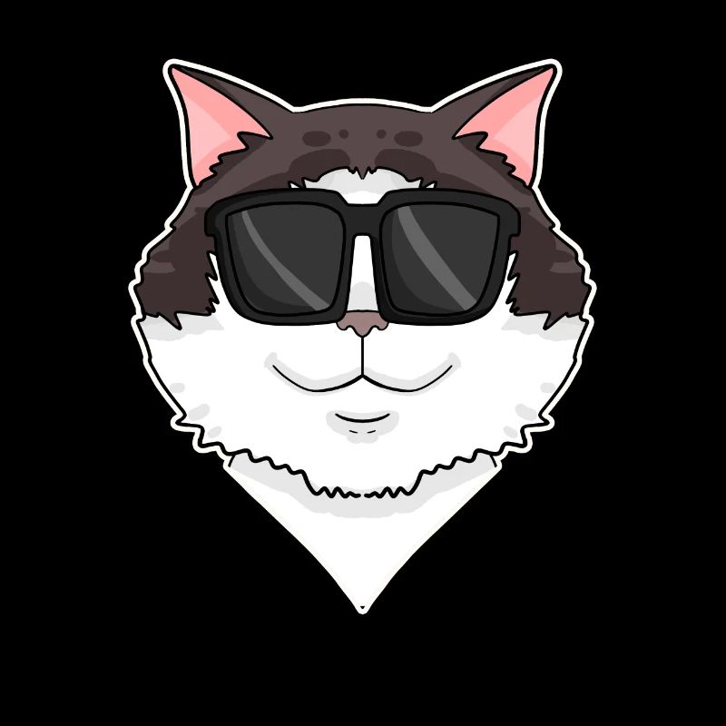Ragdoll Cat