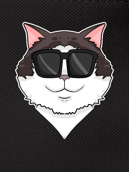 Ragdoll Cat