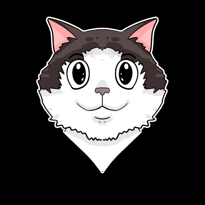 Ragdoll Cat