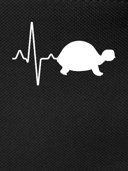 Turtle Heartbeat