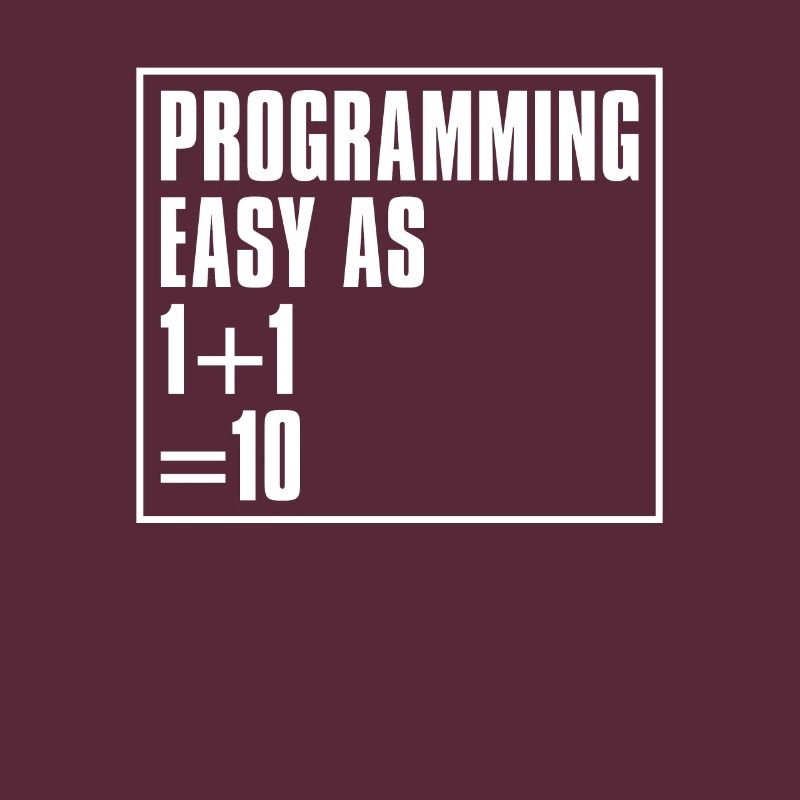 Programmer Coder Software Developer