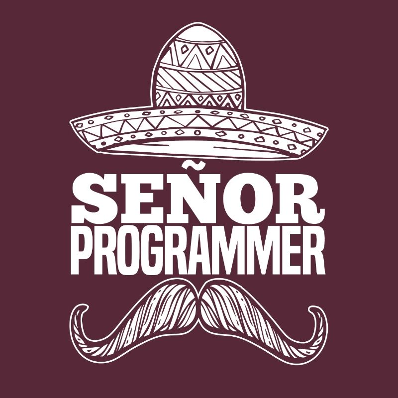 Programmeur Coder Développeur de logiciels