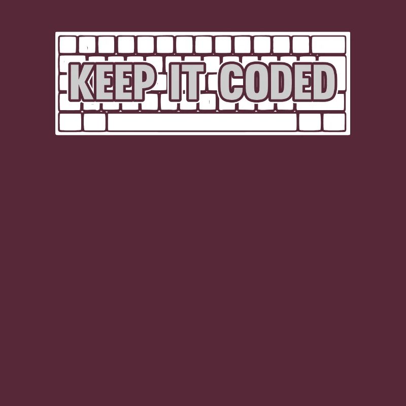 Programmeur Coder Développeur de logiciels