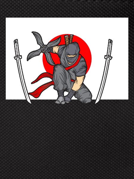 Ninja