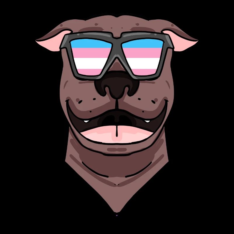 American Pit Bull Terrier