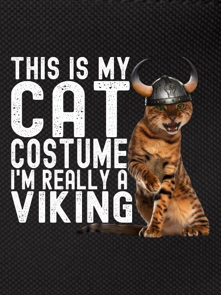 Viking Cat