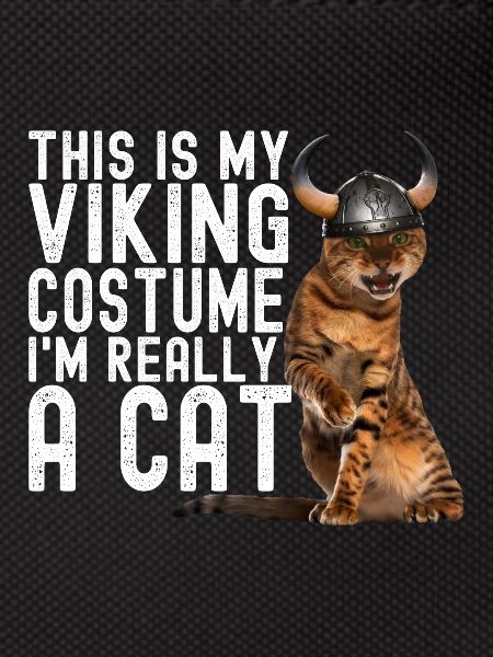 Viking Cat