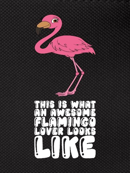 Funny flamingo graphics