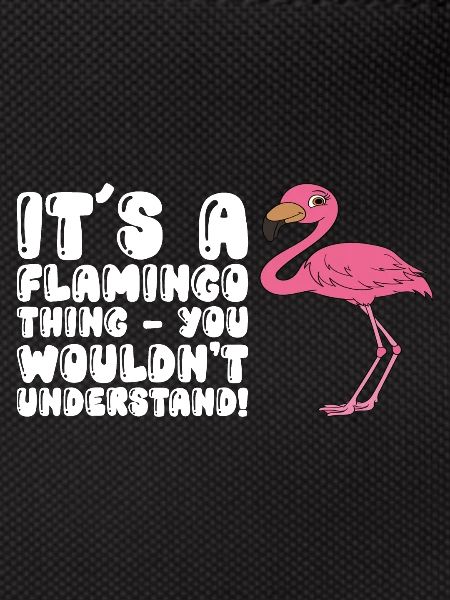 Funny flamingo graphics