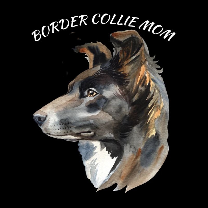 Bordercollie Mom Collie Hund Hunde Mama Mutter