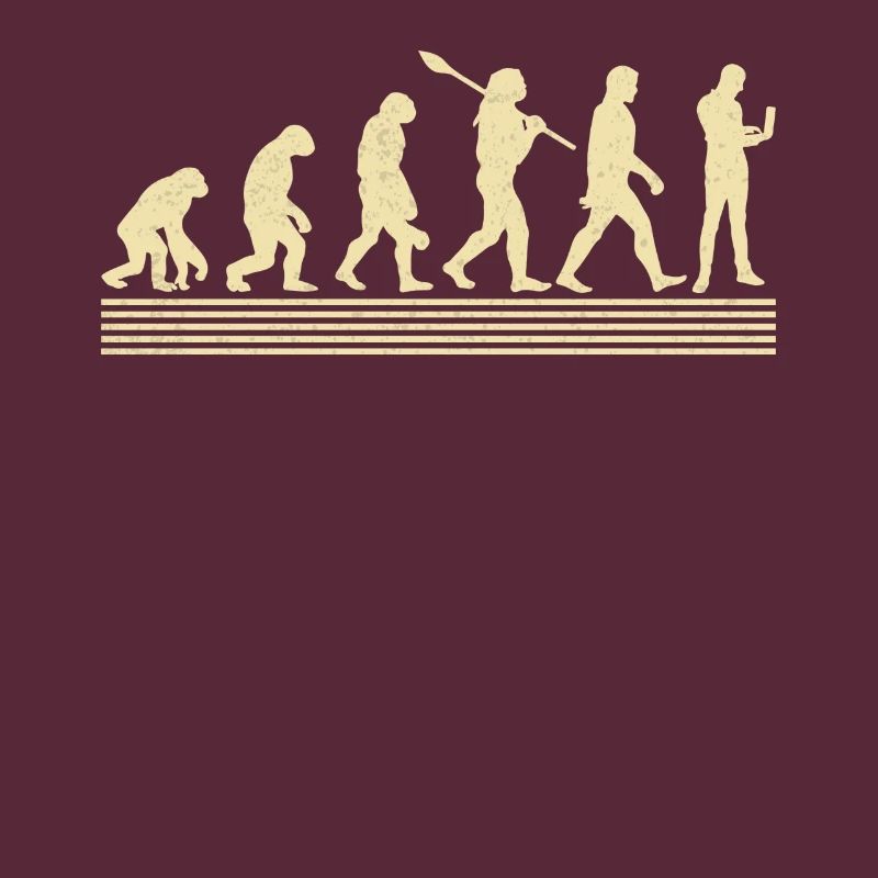 Evolution Des Computersystemanalytikers