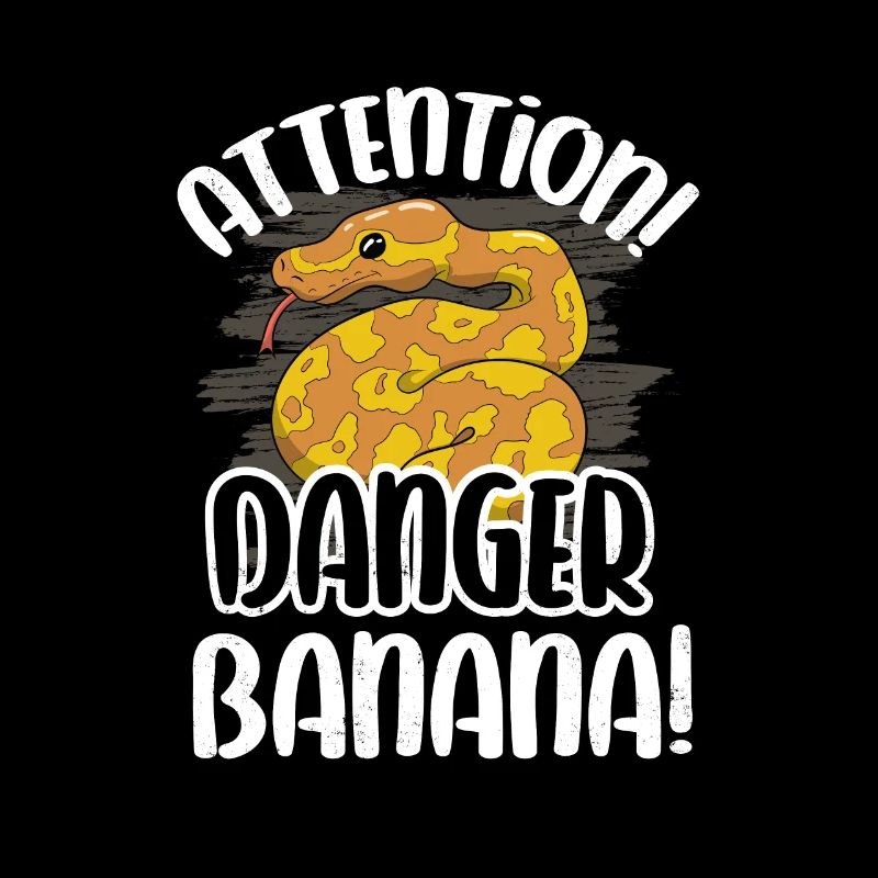 Banana Ball Python Herpétologiste Attention Danger