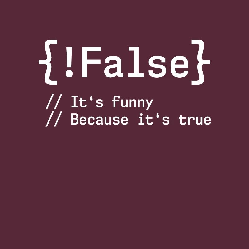 False It's Funny Because It's True Programmierer