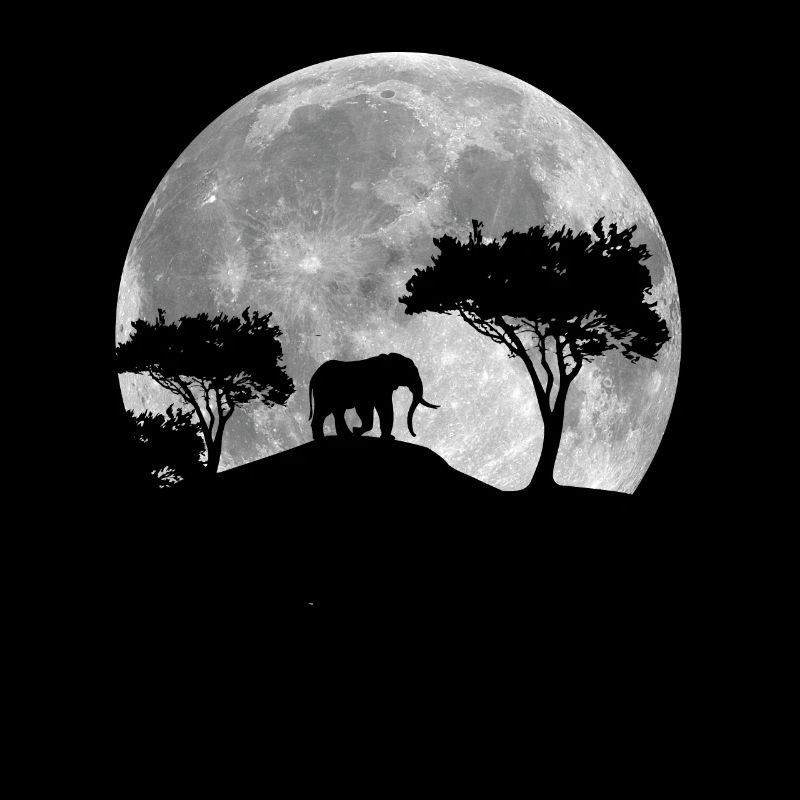Éléphant dans la lune
