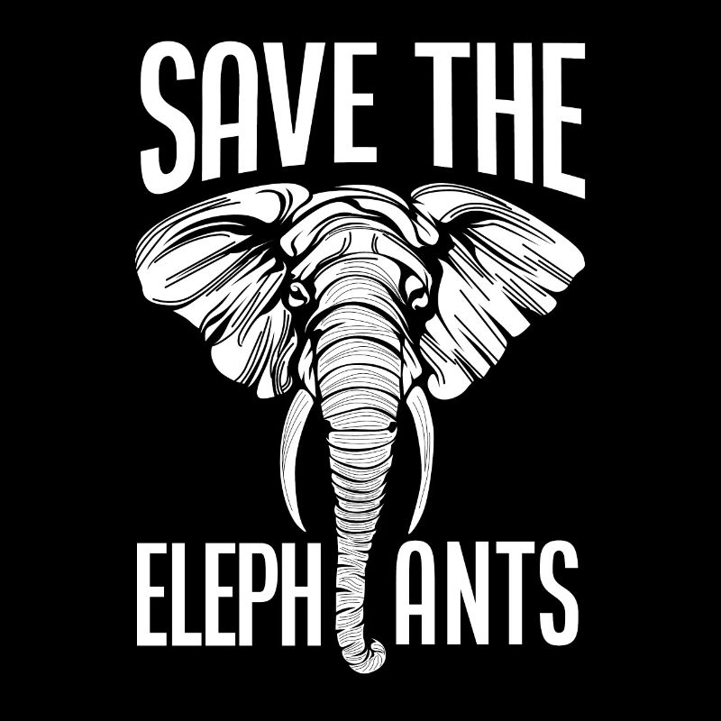 Elephant Animal Welfare