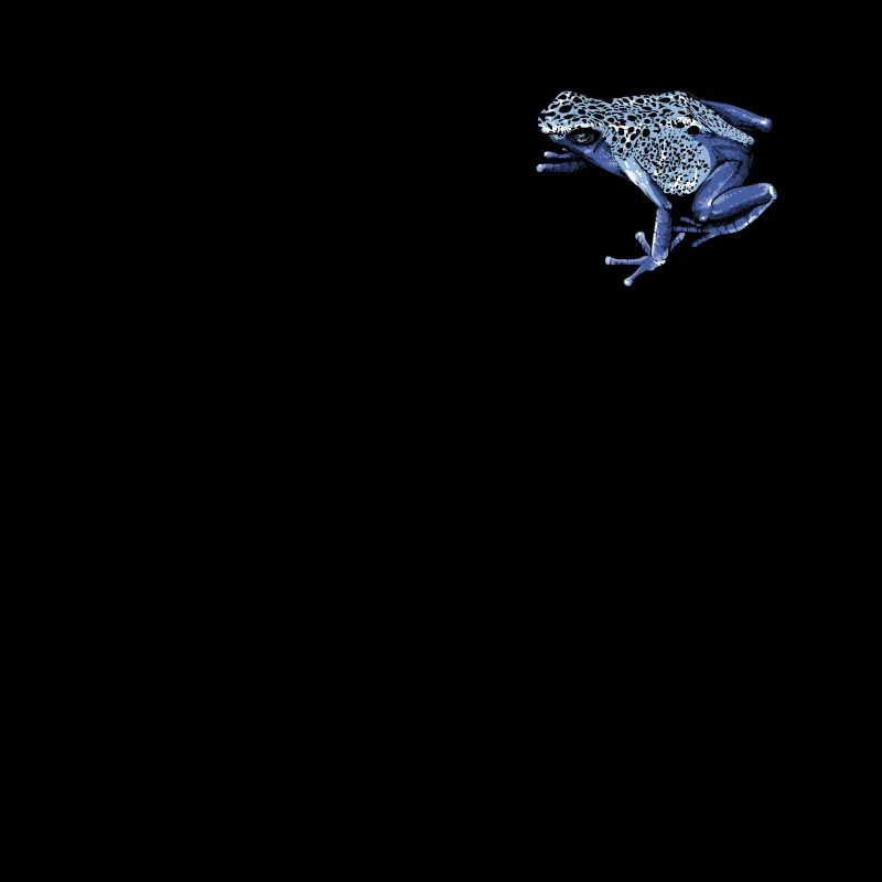 Poison Dart Frog I Toad Frog Motif for Amphibians
