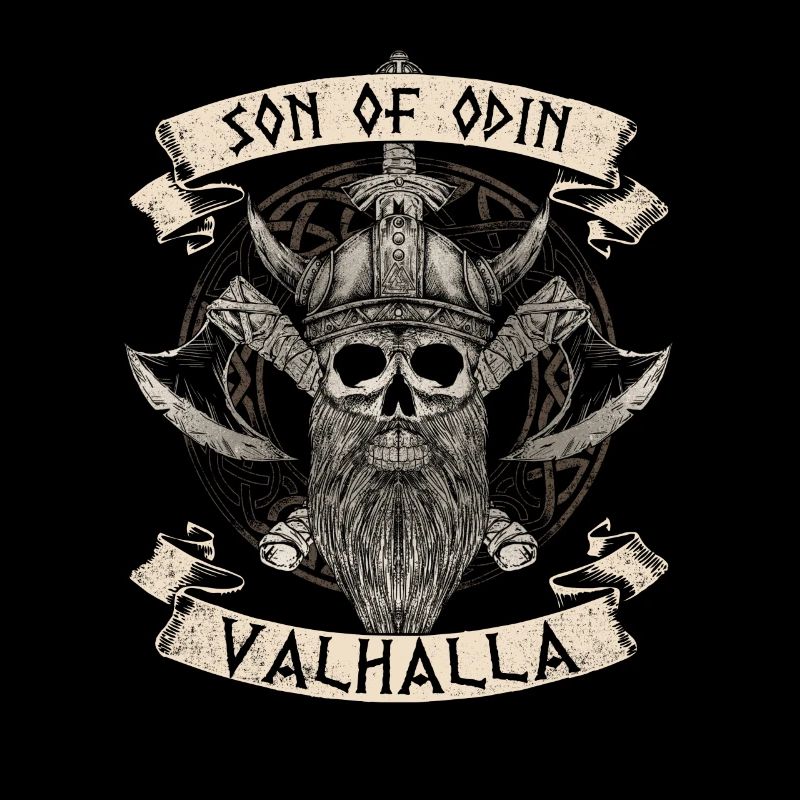Fils d’Odin Viking Valhalla