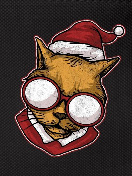 Ugly Christmas Sweater Cat