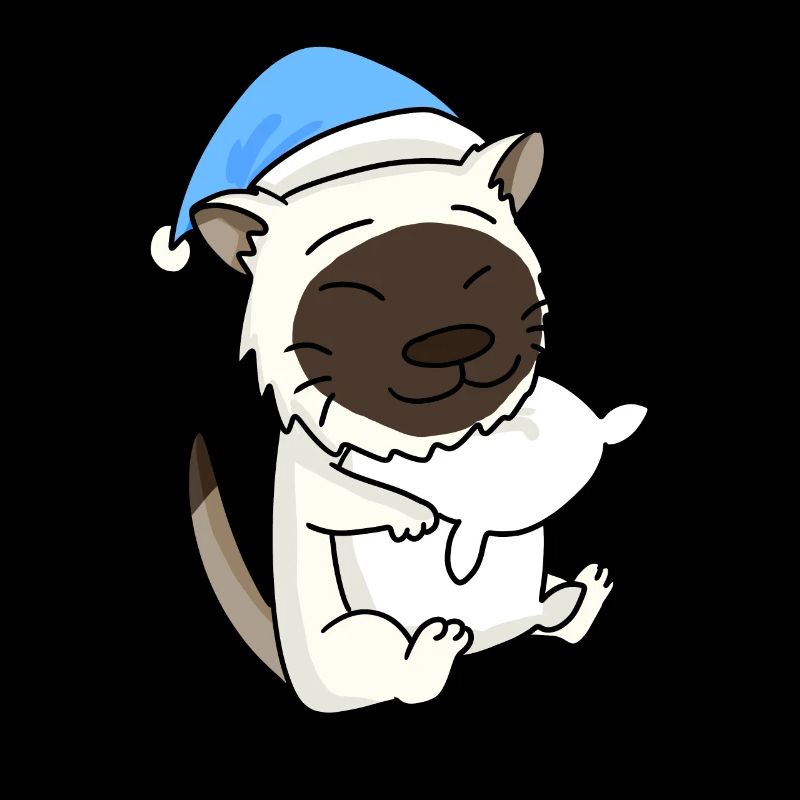 Chat race de chat Birmanie