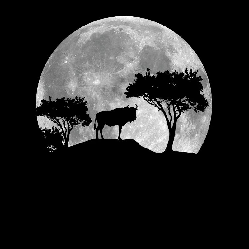 Wildebeest at night