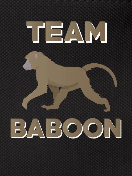 Team Baboon