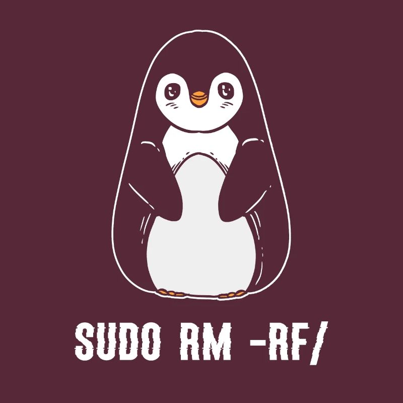 sudo rm rf / Programmeur informatique Linux