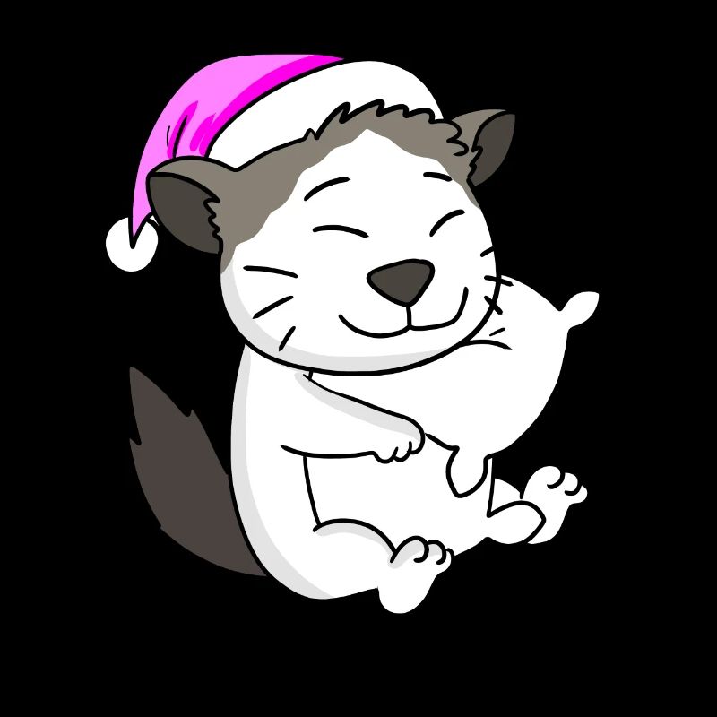 Chat race Ragdoll
