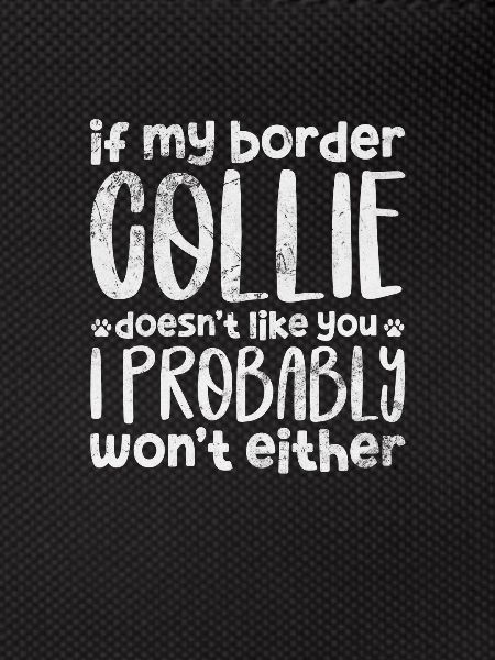 Border Collie