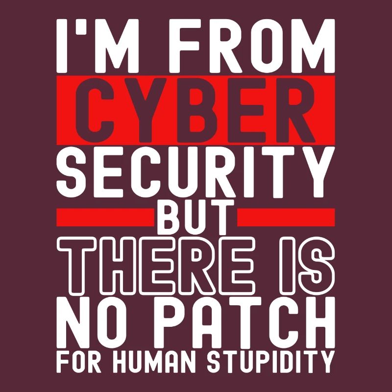 Programmer Cyber Security