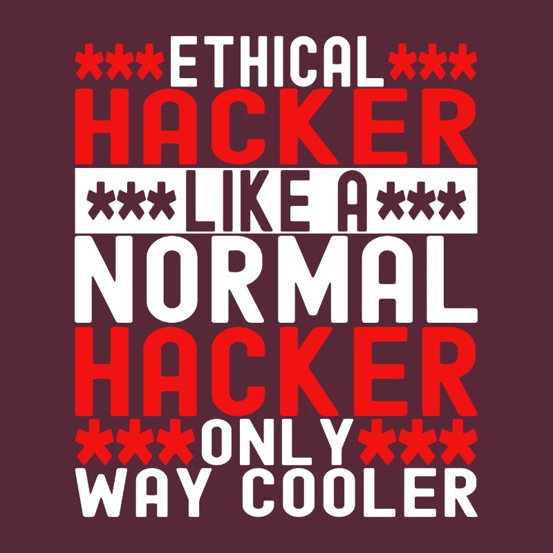 Programmer Cyber Security