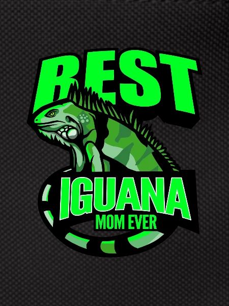 Iguana