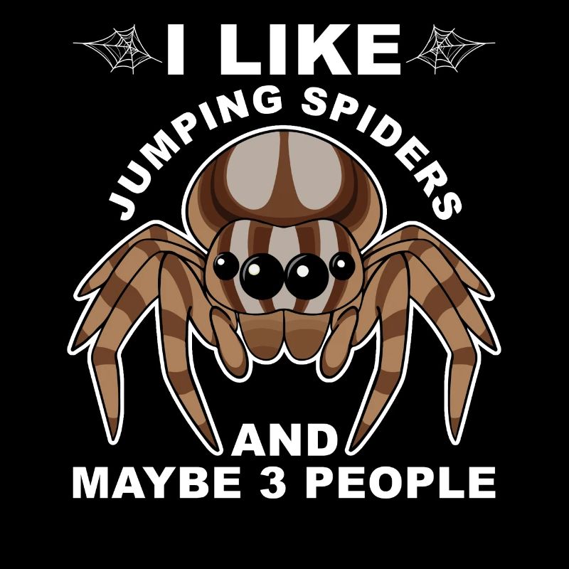 Dicton Jumping Spider