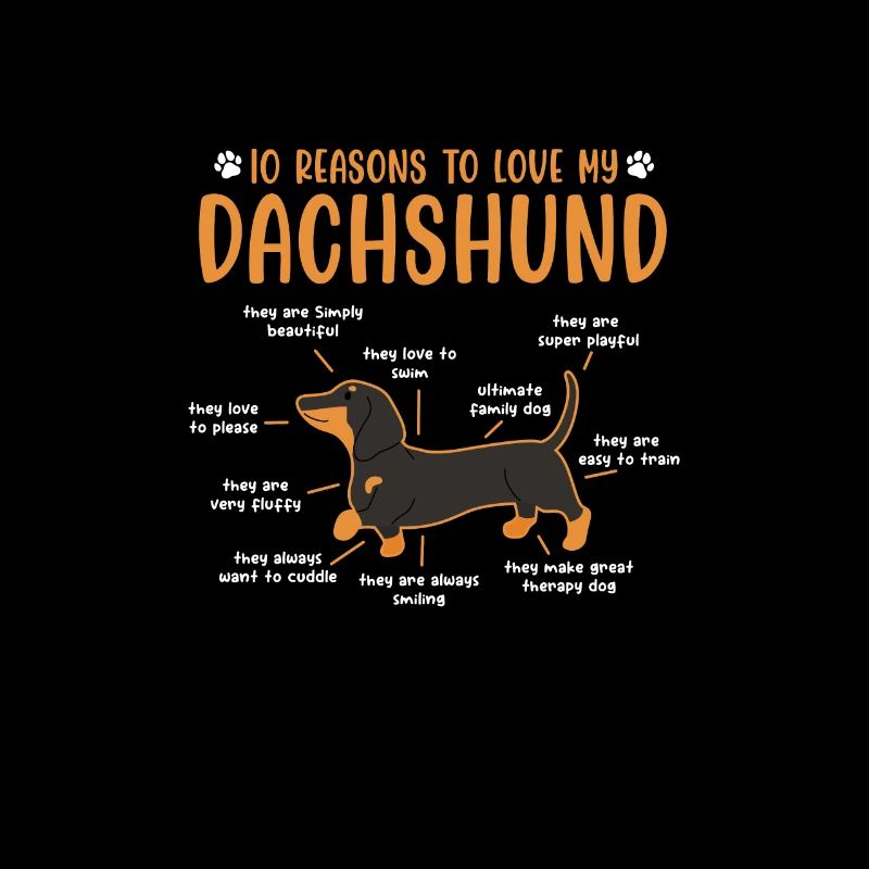 Dackel Hund Hunde Dachshund Teckel Geschenk