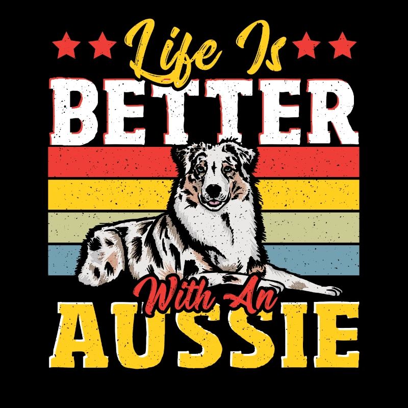 Australischer Schäferhund Berger australien Auss