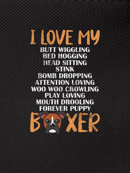 Boxer Dog