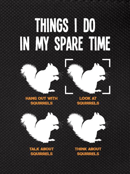 Squirrel