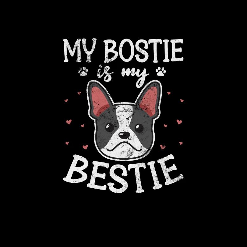 Boston Terrier